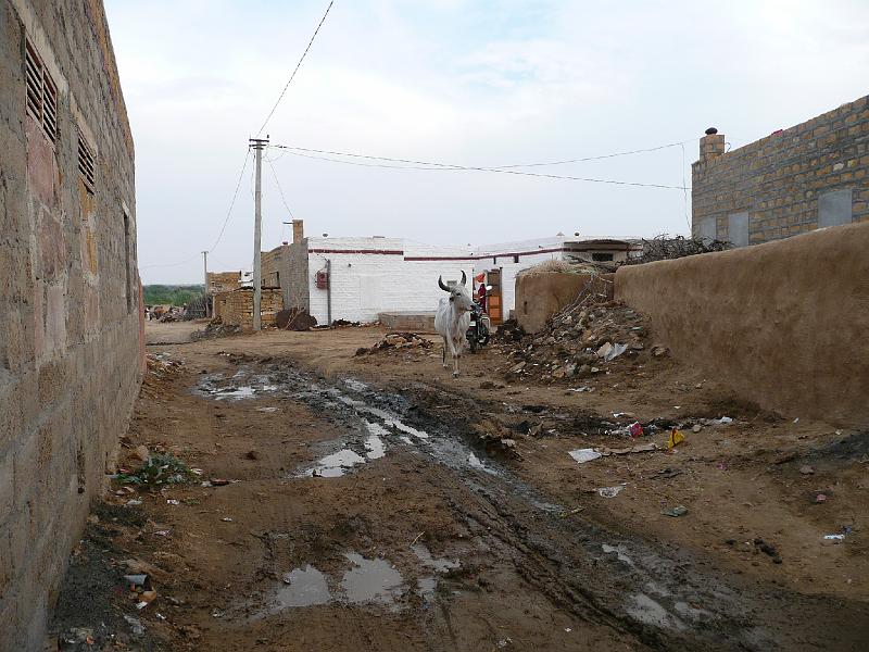P1050879- Village de Khuri dans le desert du Thar.JPG - Village de Khuri dans le désert du Thar
